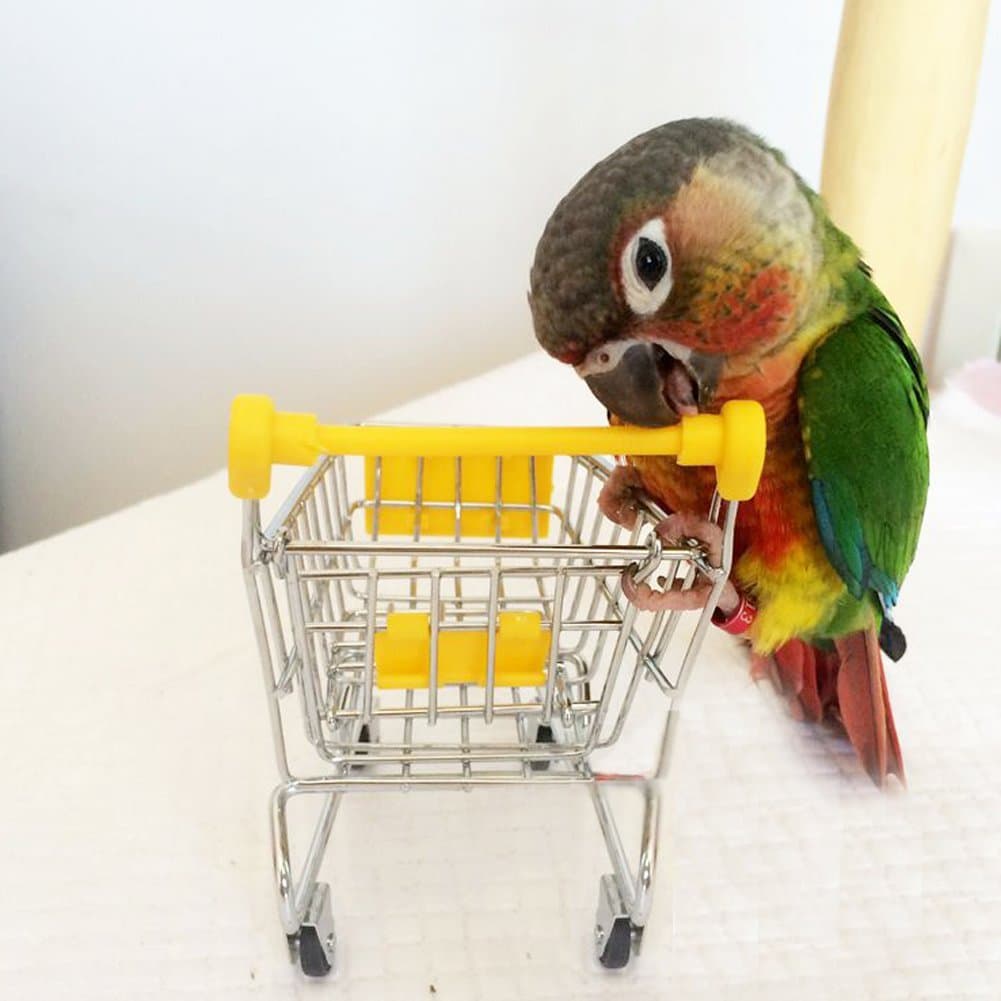 Pet Toy Parrot Cart Bird Training Hamster Guinea Pig Chinchilla Supplies Photo Prop