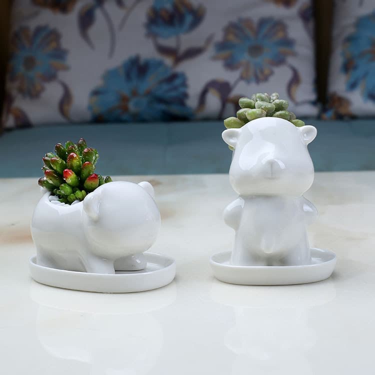 Cute Cartoon Bear Ceramic Succulent Planters Office Desktop Decorative Flower Pots Handmade Craft Durable Corrosion Resistant