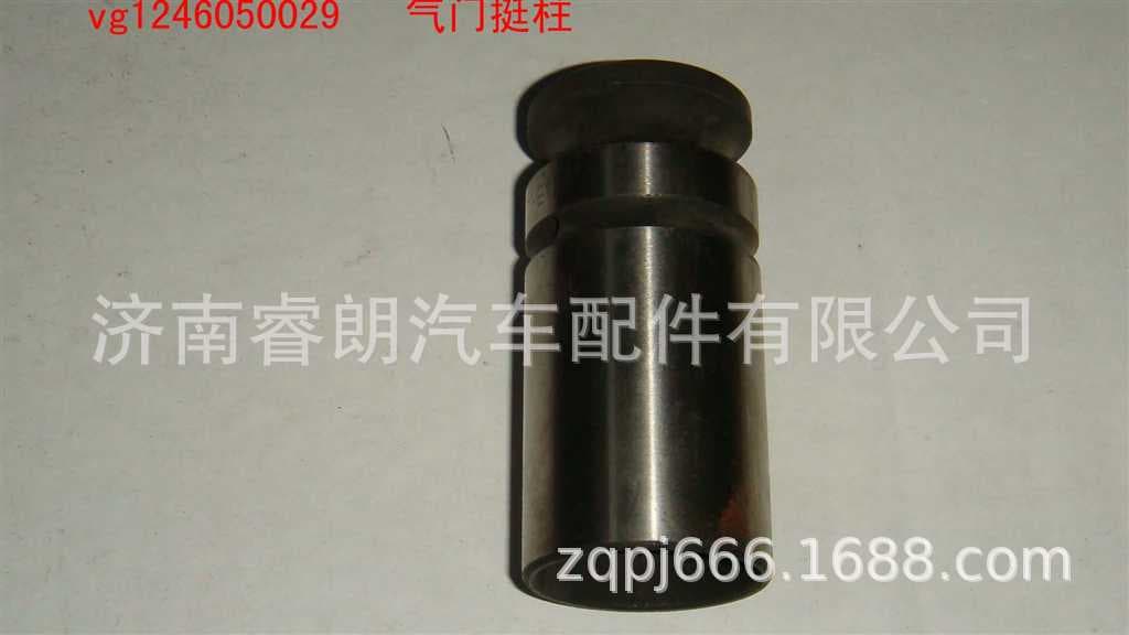 Sinotruk Parts VG1246050029 Valve Tappet