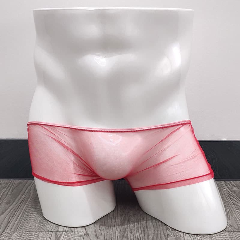 Low Waist Breathable Thin Mesh Men's Underwear Shorts Transparent Angle Briefs Gay Underwear Polyester Fabric Support OEM