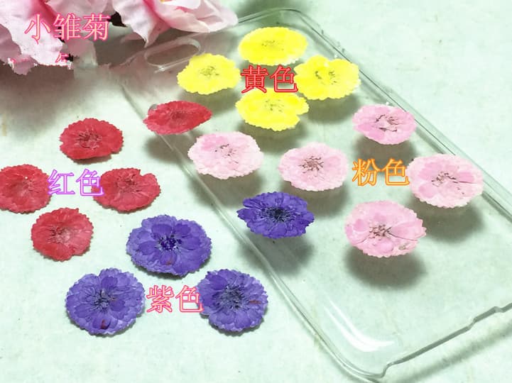DIY Craft Materials Daisy Epoxy Resin Dried Flowers Natural Real Flower Plant Specimen Pressed Flower Candle Dried Flowers