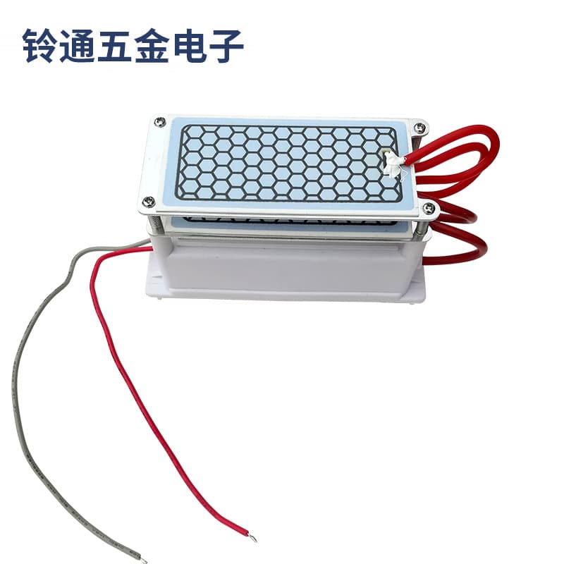 Manufacturer 220V Household 10g Integrated Ceramic Plate Ozone Generator Parts for Ozone Disinfection