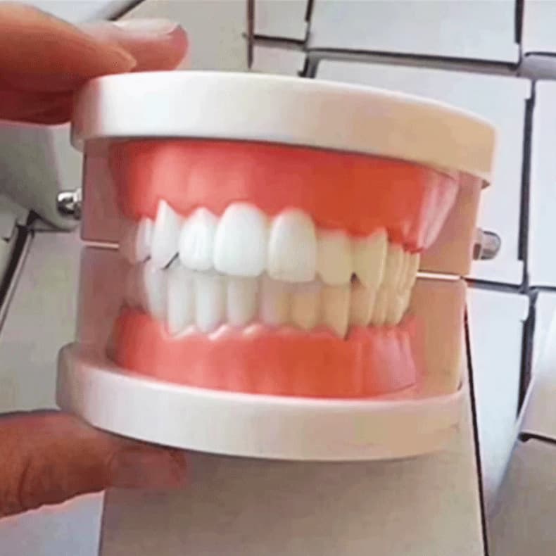 Dental Model Dental Materials Oral Instruments Aesthetic Dentistry Teaching Practice Model Veneer Materials Denture Model Wholesale