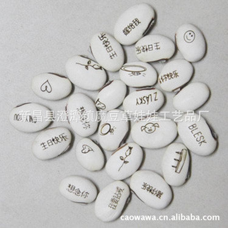 Cultivation, planting, engraving, love blessings, friendship, white beans, red beans, auspicious beans, long characters, magic beans, potted plants, collectibles.