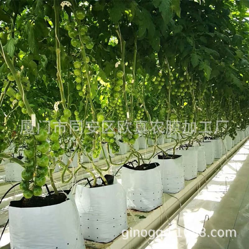 Farm Greenhouse Planting Bags, Fruit and Vegetable Cultivation Bags, Outer White Inner Black Substrate Bags, Seedling Bags, Insulation, Anti-Aging