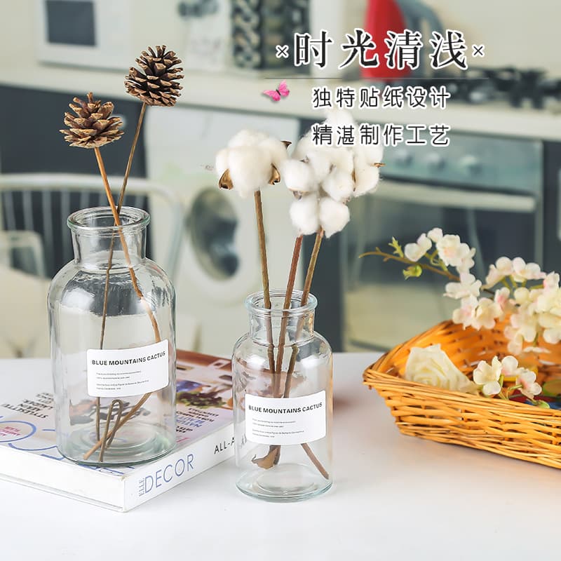Transparent Glass Nordic Ins Style Vase Simple Home Decor Ornament Hydroponic Plant Bottle Reagent Vase