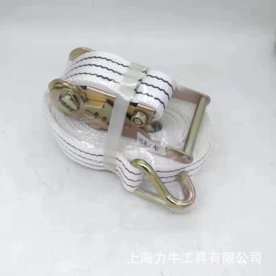 Custom 1-inch*5m and 1.5-inch*6m double-hook lashing straps, durable widened tie-downs with tensioners