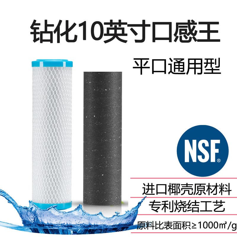 Source Factory Sintered Activated Carbon Filter Cartridge, 10-inch Water Purifier Filter, Improves Taste, Activated Carbon Block