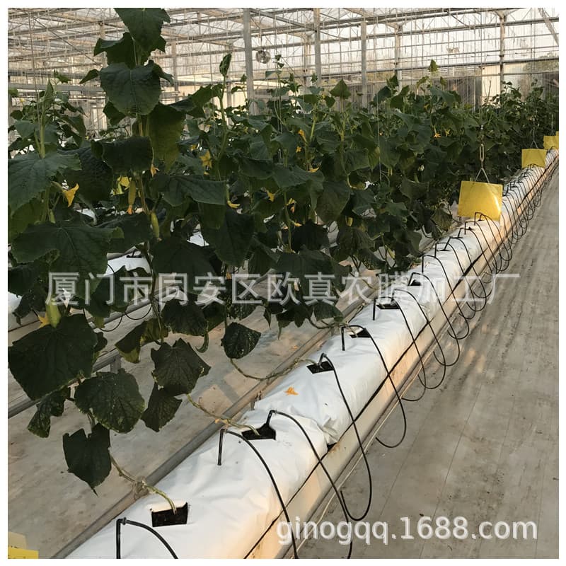 In-Stock Wholesale - Black and White Substrate Strips, Horizontal Grow Bags for Peppers, Tomatoes, Watermelons, and Coir Strips, Heat-Resistant and Anti-Aging