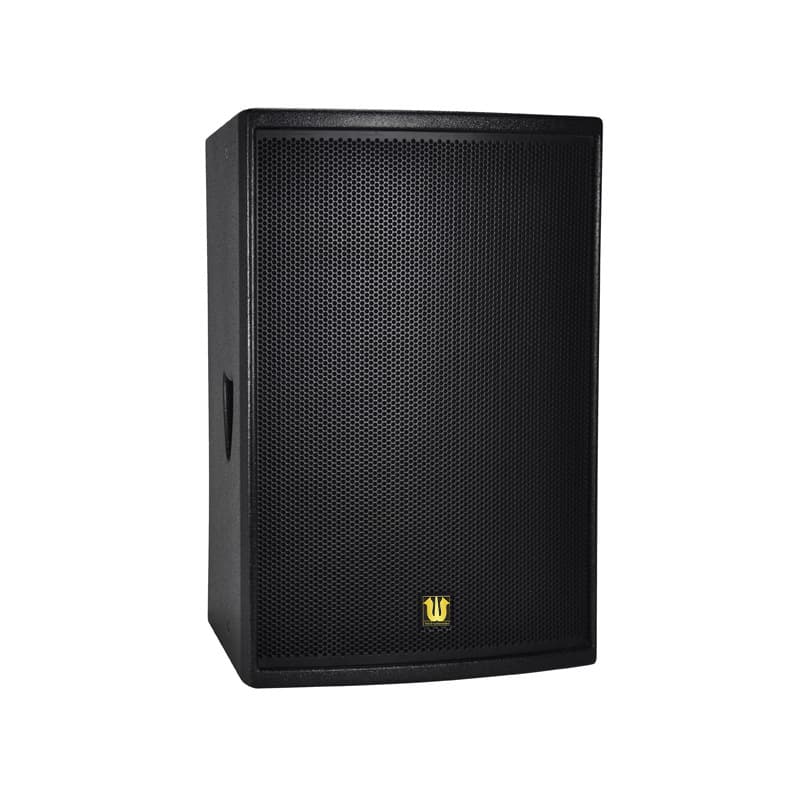 Factory Direct Professional Stage Audio Active 10-Inch Card Audio Outdoor Audio WT10