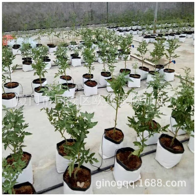 Black and White Film Grow Bags, Plant Seedling Bags, Soilless Coconut Coir Substrate Cultivation Growth Bags