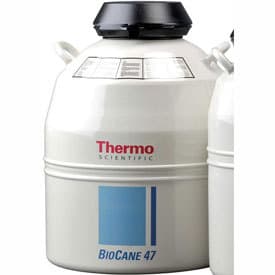 Thermo BioCane47 Liquid Nitrogen Tank (Default Option Lainai)
