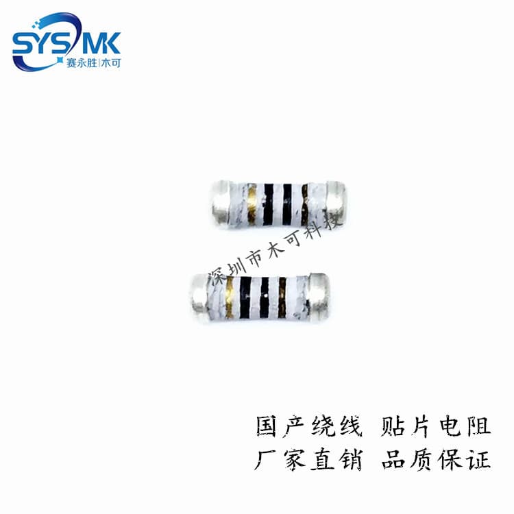 0207 100R 5% Chip Resistor 1/2W 100 Ohm 0.5W Cylindrical Chip Wirewound Resistor