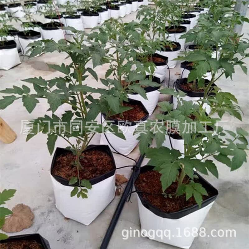 Plastic Black and White Grow Bags - Tomato Cultivation Bags, Long-Lasting Substrate Bags, Durable and Tear-Resistant