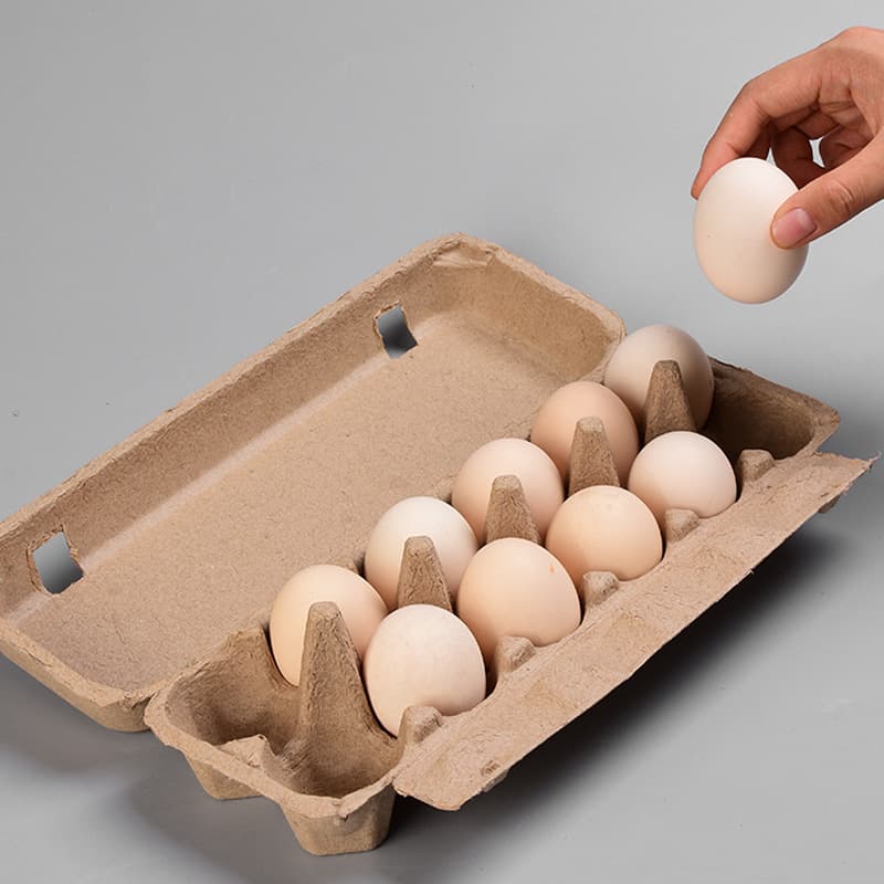 Factory Direct 10-Count and 12-Count Pulp Egg Boxes, Pullet Egg Cartons, Biodegradable Pulp Egg Containers