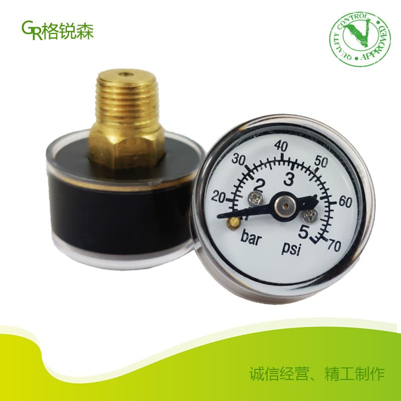 Factory Sale Y-25 Mini Gauge 5bar/psi Mini Pressure Gauge for Food Use Custom Production