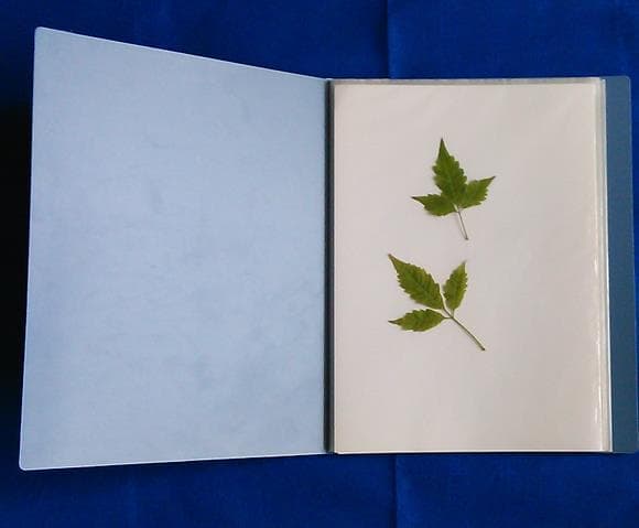 Plant specimen preservation folder (A3 size) with herbarium mounting paper, 20 pages.