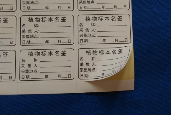 Self-Adhesive Plant Specimen Name Tag 5*3cm / Plant Naming Tag Mounting Paper Label