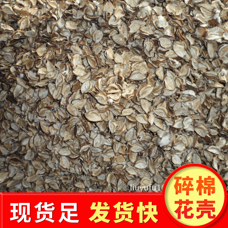 Dried flower cotton shell sachet craft raw materials long light color moisture-proof natural flowers
