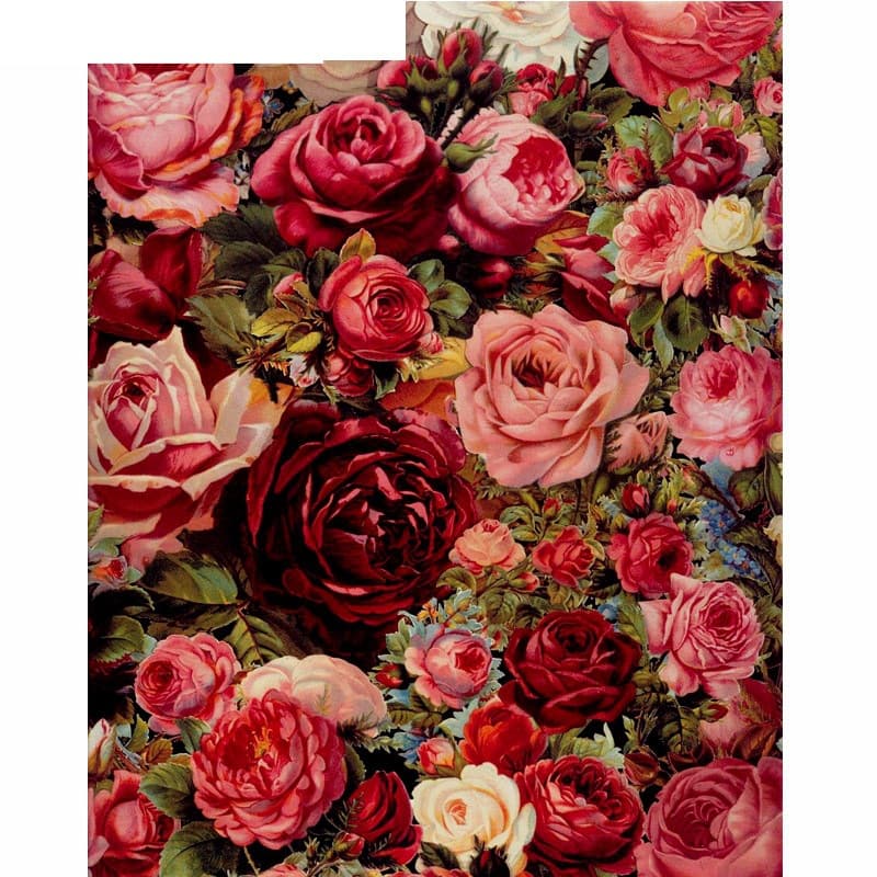 DIY Digital Oil Painting Natural Landscape Flower Hanging Painting Burgundy Rose Pure Hand-Painted Living Room Bedroom Study Decor
