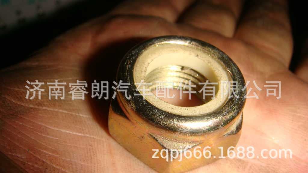 Production and wholesale of Sinotruk Howo SITRAK complete vehicle parts AZ9003881615 Hex Nylon Lock Nut