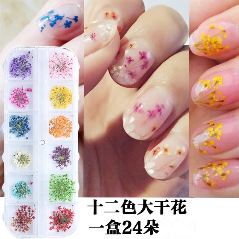 Japanese-Style Nail Art Large Dried Flowers Fresh Colorful Petals UV Gel DIY Nail Decoration 12 Colors Set Dried Flower Decoration