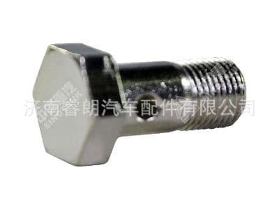 Production and Wholesale of Sinotruk Howo Shandeka Vehicle Parts 082V98150-0176 Hollow Bolt