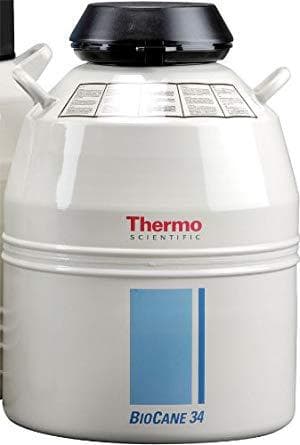 Thermo BioCane34 Liquid Nitrogen Tank (Default Option Lainai)