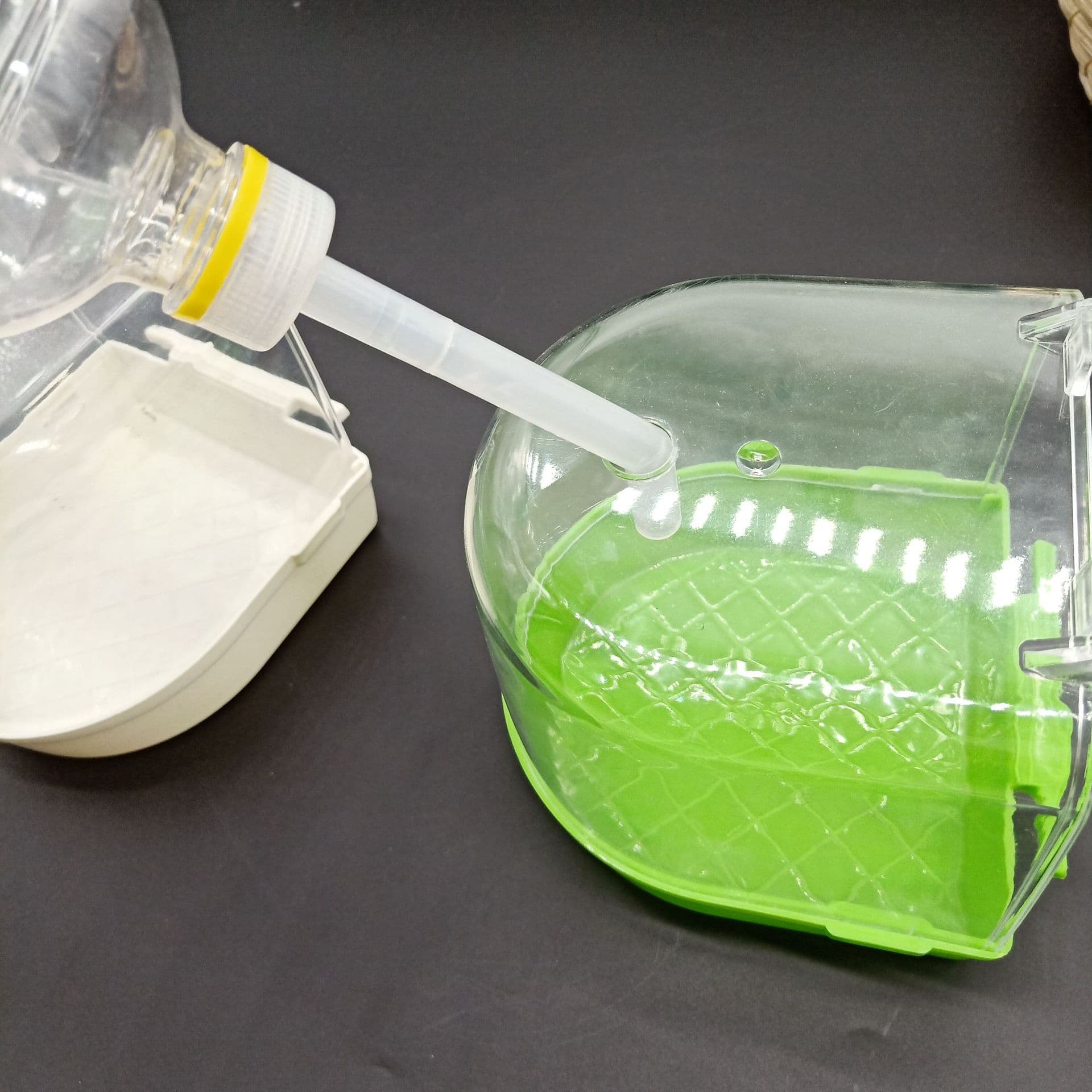 Hebei Yichong Bird Acrylic Bath Box with Top Water Inlet, External Bird Bath