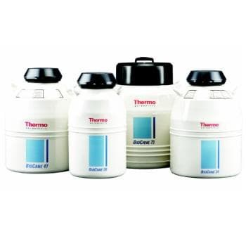 Thermo BioCane73 Liquid Nitrogen Tank (Default Option Lainai)