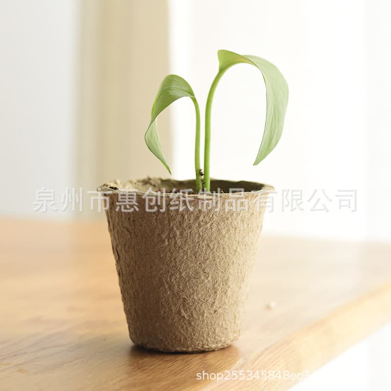 Manufacturer Direct Sales Pulp Seedling Cup, Seedling Pot, Pulp Cup, Biodegradable Pulp Flower Pot, Pulp Supports Processing Customization