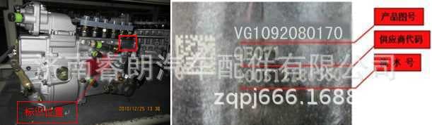 Sinotruk Parts VG1092080170 High-Pressure Fuel Pump