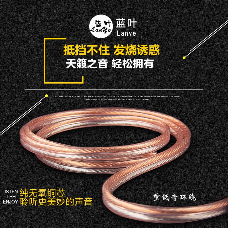 Lanye Sound Cable Connection Cable Professional Stage Audiophile Speaker Wire Pure Copper Stranded Wire 200 600 Core