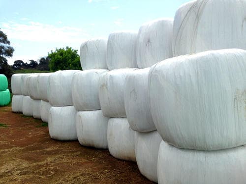 Silage Film