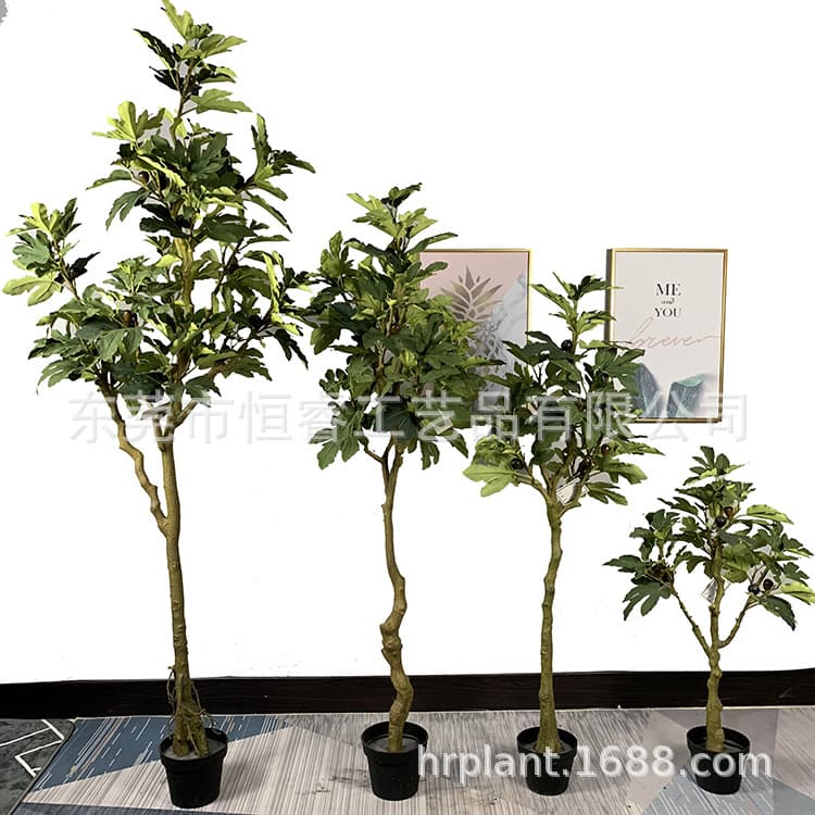 Factory direct sales fig tree, artificial high imitation potted small tree, indoor decoration green plant bonsai fake tree