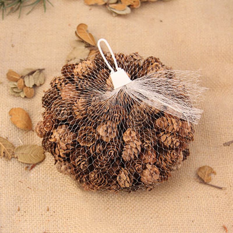 200g Pine Cone Mesh Bag Packaging Larch Pine Cone Packaging Kindergarten DIY Materials Natural Pine Cones