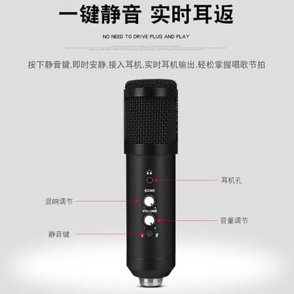 BM800 Live Streaming Condenser Microphone, Cross-border USB Computer Recording Live Streaming Equipment 858 Microphone