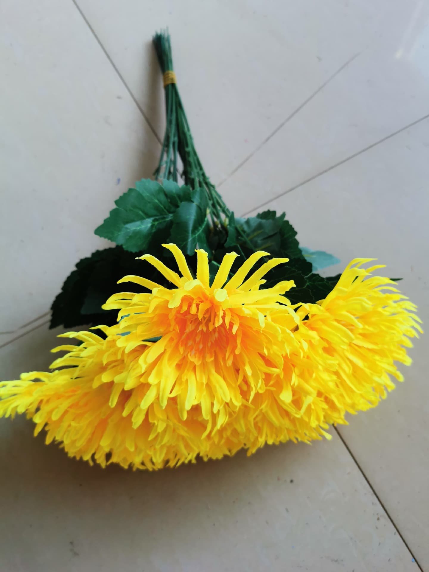 Single Chrysanthemum