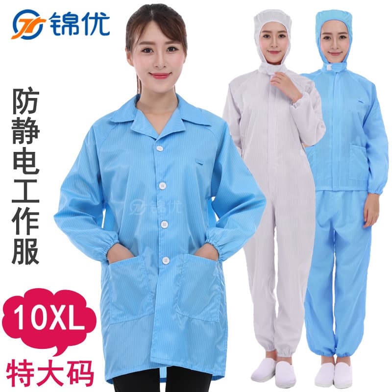 Extra Large Anti-Static Coat, Cleanroom Hooded Coverall with Separate Top and Pants, Protective Clothing