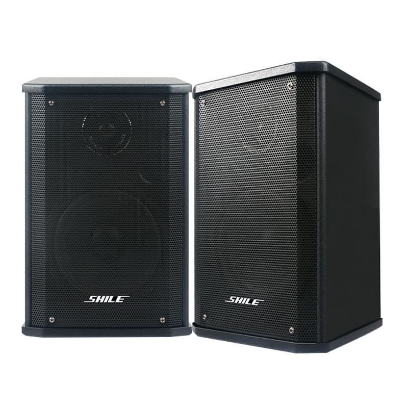 BX101 Home Theater Background Music Wall-Mounted Conference Speaker HIFI Indoor 2.0 Home High-Fidelity Speaker