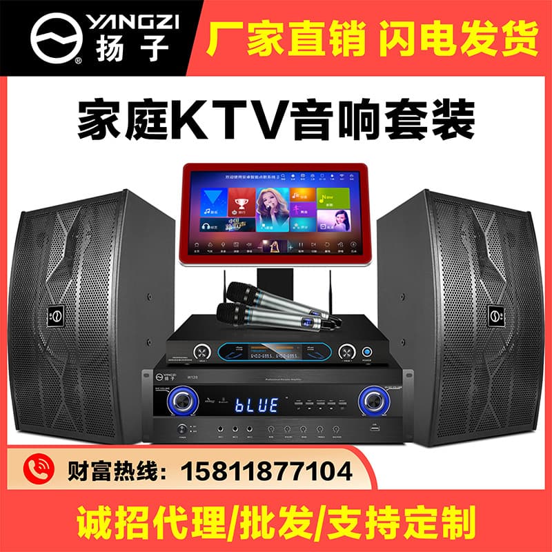 KTV Audio System Set, Karaoke Amplifier, Speakers, Home Karaoke Machine, Wireless Microphone, Wireless Karaoke Machine