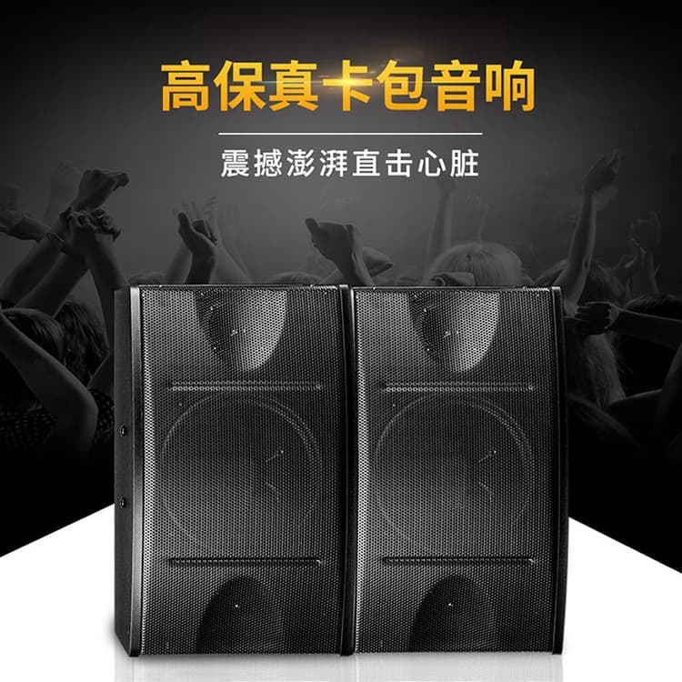 OK450 Professional Karaoke Audio Conference KTV Home Card Pack Speaker / Pair Home KTV Multimedia Speaker