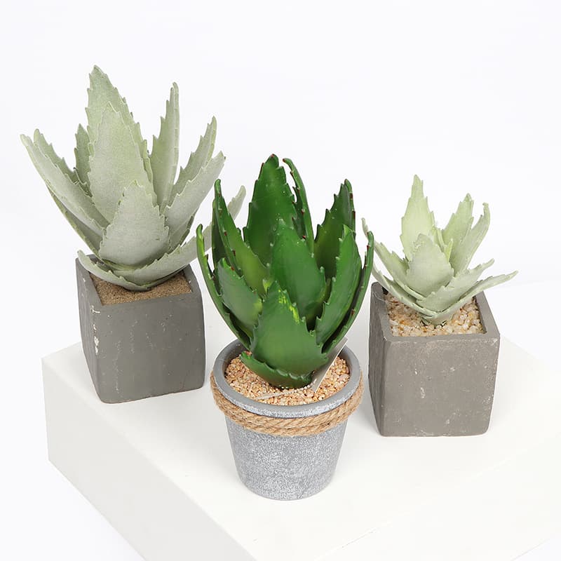 Nordic Style Artificial Succulent Aloe Vera Plant Resin Bonsai Wall Flower Arrangement Accessories Factory Direct