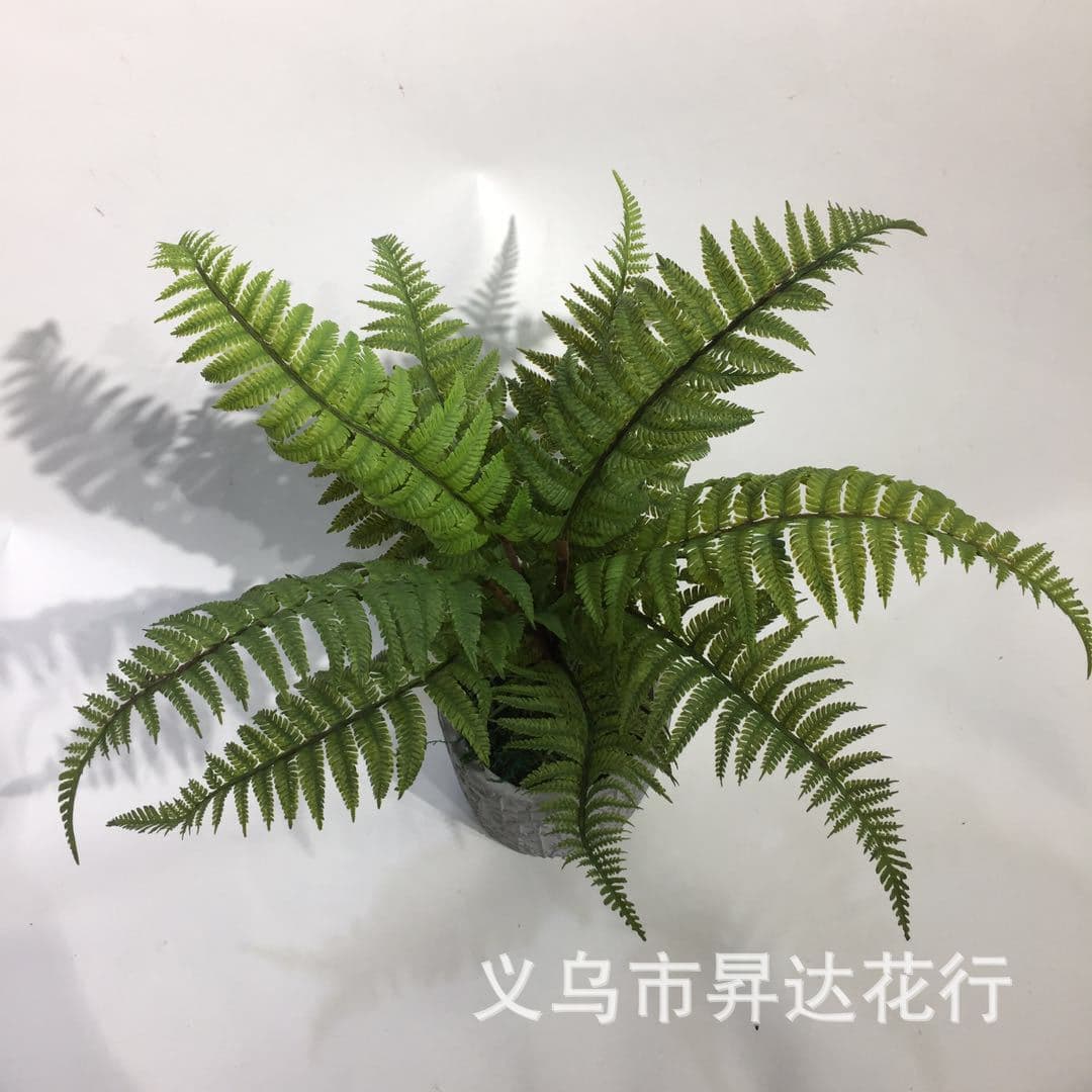 Factory wholesale artificial tropical fern, large-leaf spinach, floral arrangement, and soft furnishing materials 1689