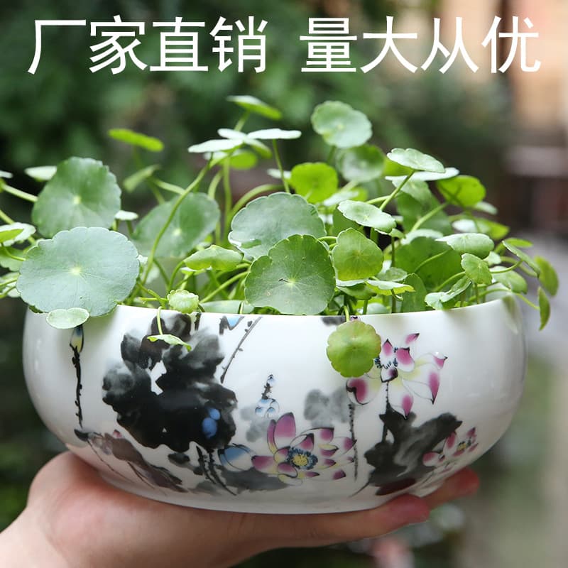 Copper Coin Plant Pot, Narcissus Pot, Lotus Bowl, Money Plant Ceramic No-Hole Water Cultivation Clearance, Large Succulent Green Plant