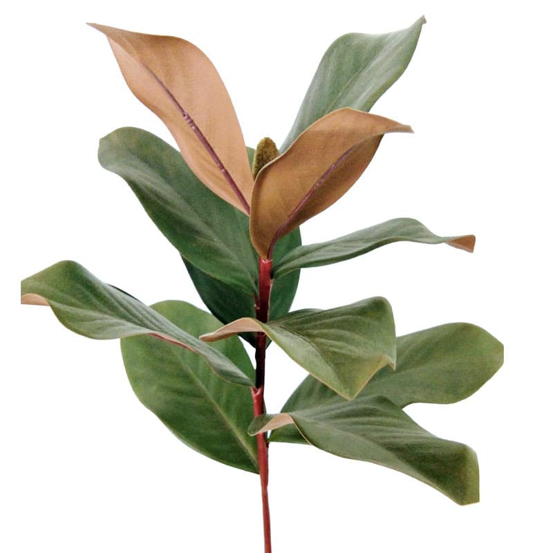 High-end Simulation Magnolia Leaf Branch Artificial Plant Flower Magnolia Leaf Photography Prop Nordic Decoration Wholesale