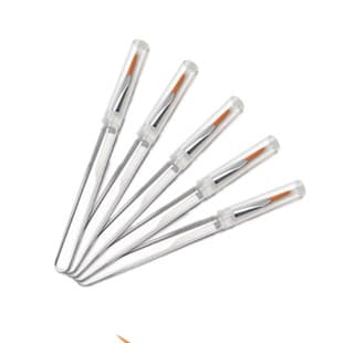 Transparent Makeup Brush / Lip Brush with Lid Disposable Lip Brush Lipstick Brush