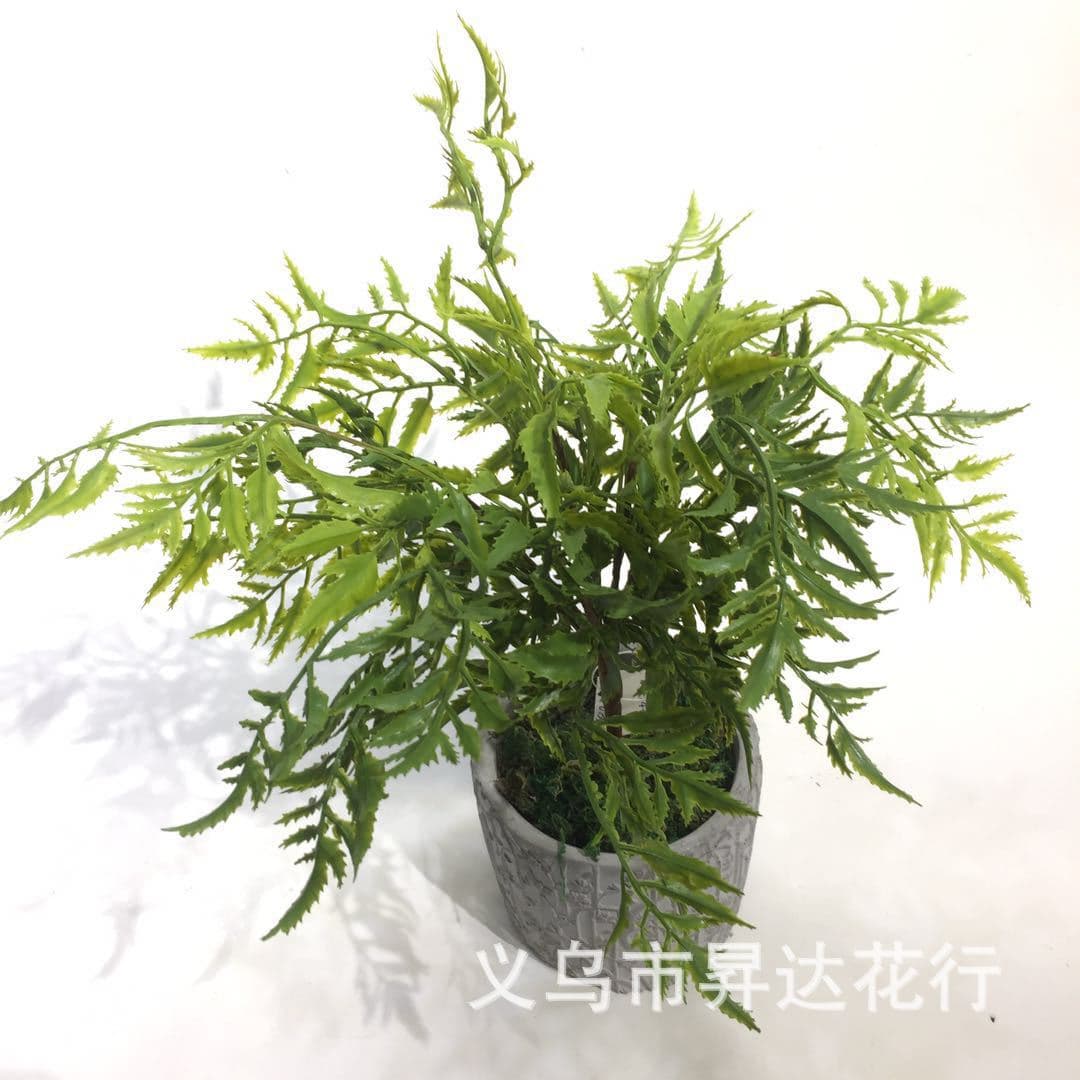 Artificial fern, sea primrose, tropical plant, chili leaf plant, wall decoration, home furnishing, soft furnishing materials, artificial grass