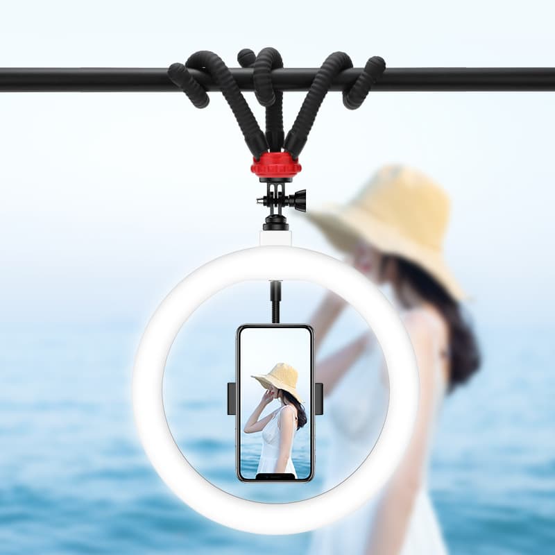 Factory Direct Lightweight Multi-functional LED Fill Light with Phone Tripod Stand for Live Streaming