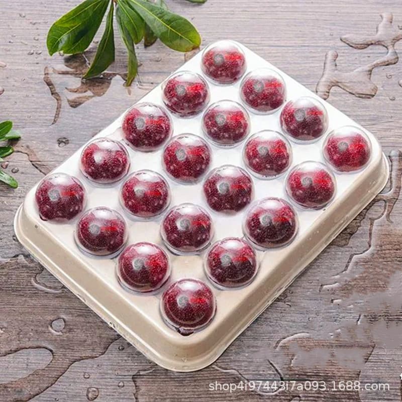 Dongkui bayberry transparent tray transparent fruit packaging bayberry packaging blister tray factory direct sales spot wholesale